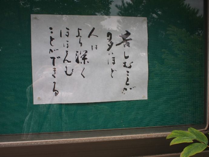 3kg弱 富士の輝き3房 うさんくさい こちらはお値引きしません。お 