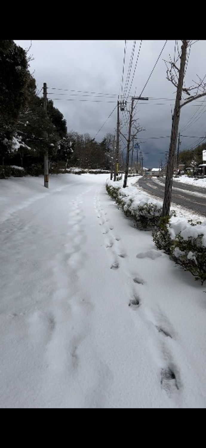 素人投稿野外排泄　冬場 膵臓がん・膵臓腫瘍の治療を終了しているがん経験者「たけちゃん@さん（67歳・男性）」の投稿 一覧｜がん経験者コミュニティサイト｜tomosnote（トモスノート）