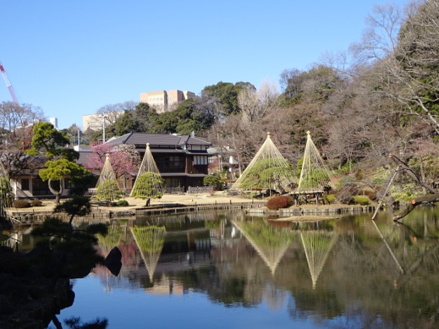 小さな池に沈む肋骨 ととのう肋骨サポーター 通販【ニッセン】