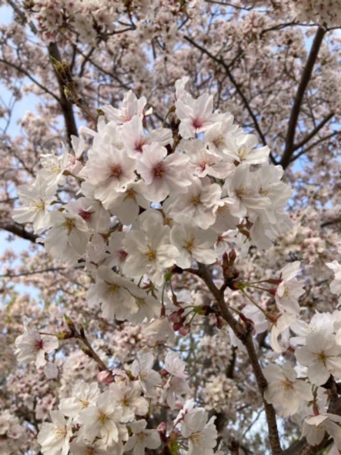 にじいろさんのプロフィール画像