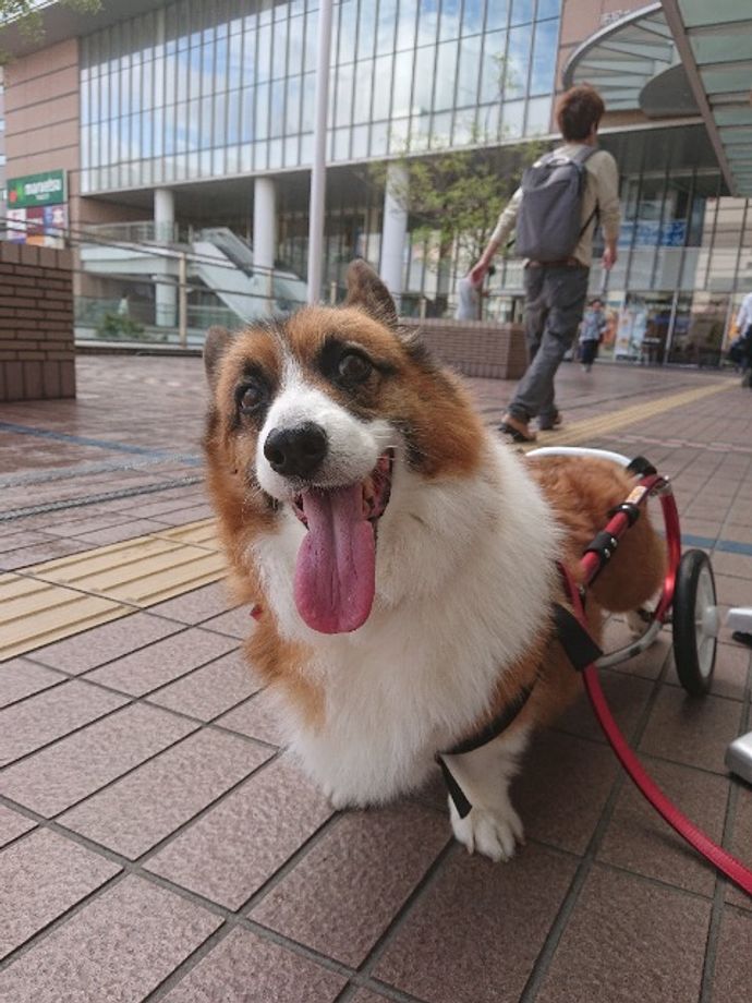 へなちょこぱんさんのプロフィール画像