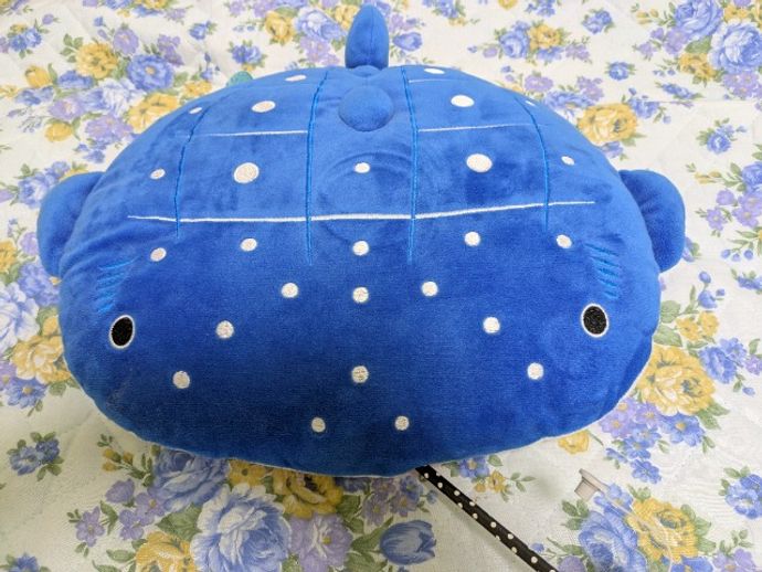 いさちゃんさんのプロフィール画像