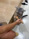 がっちさんのプロフィール画像