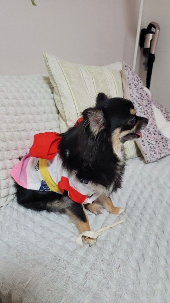 めるさんのプロフィール画像