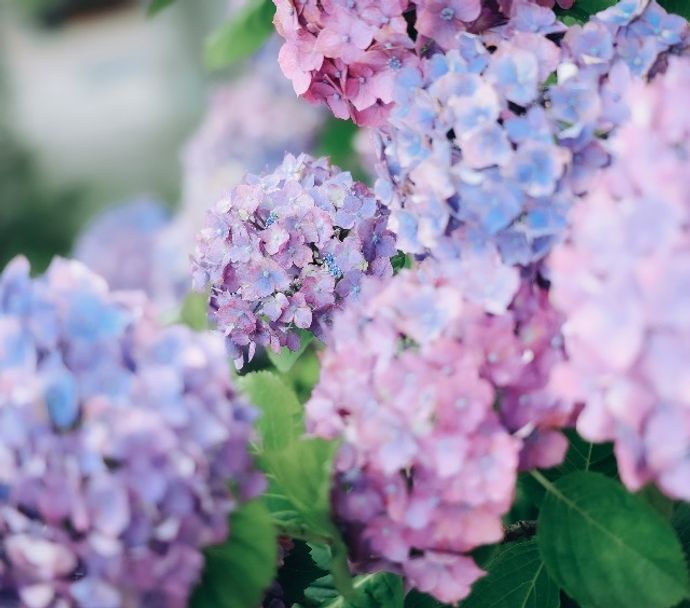 みきさんのプロフィール画像