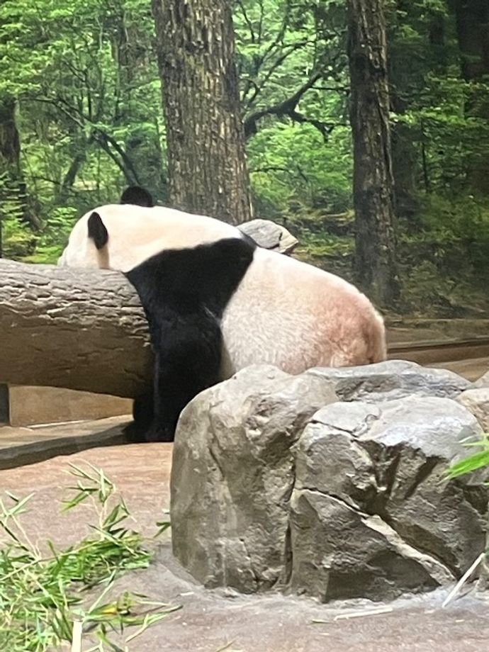 みーひんさんのプロフィール画像