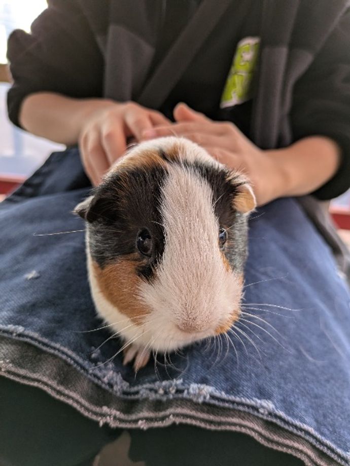 やよぴさんのプロフィール画像