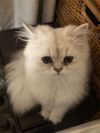 Kazuさんのプロフィール画像