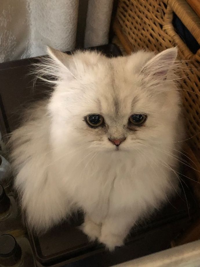 Kazuさんのプロフィール画像