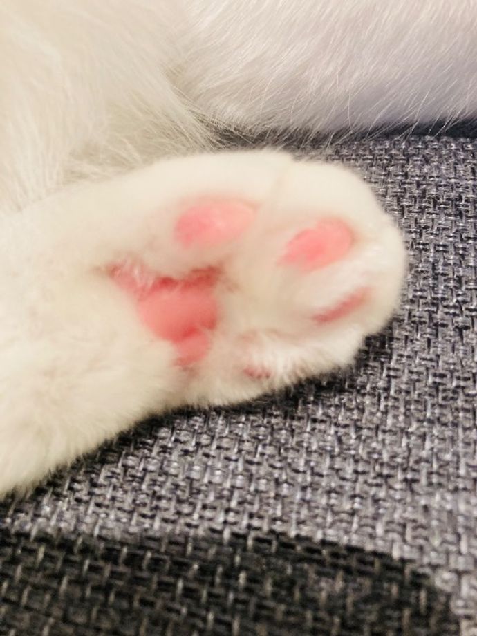 たかすけさんのプロフィール画像