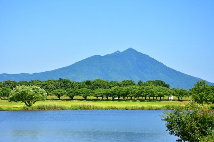 かめおさんのプロフィール画像