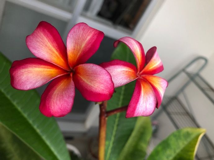 まむ11さんのプロフィール画像