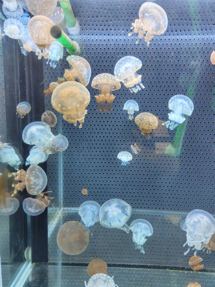 まーさんのプロフィール画像