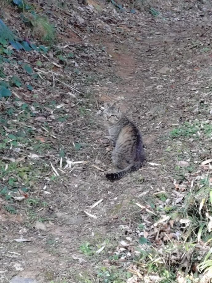 紗那さんのプロフィール画像