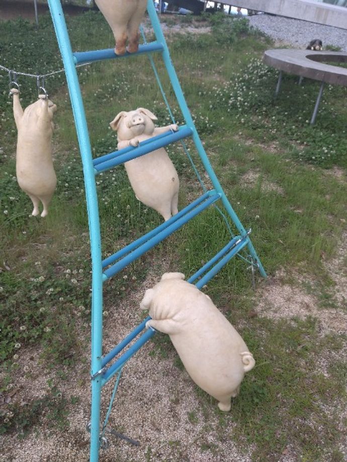 楓太1228さんのプロフィール画像