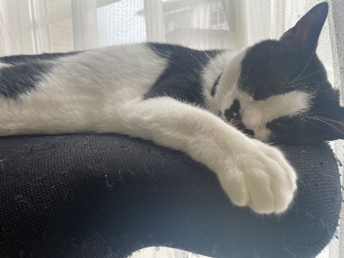 りょんさんのプロフィール画像