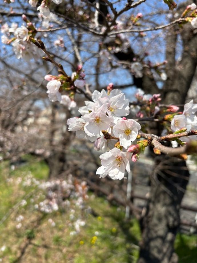 riさんのプロフィール画像