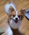 ククロコさんのプロフィール画像