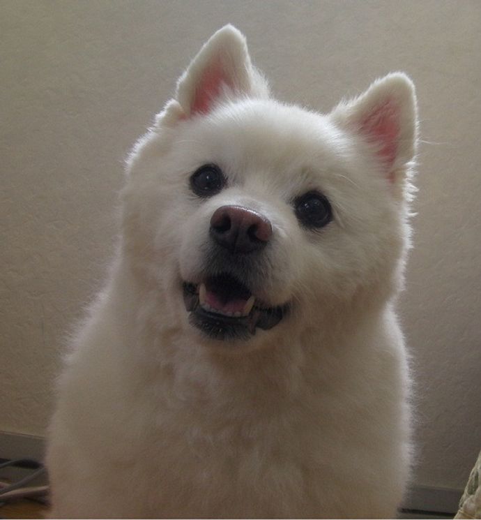 茨城県民さんのプロフィール画像